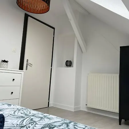Apartament T3 Renove 60m2 Proche Centre Colmar