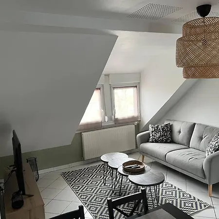 T3 Renove 60m2 Proche Centre Colmar