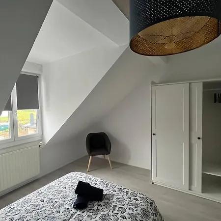 T3 Renove 60m2 Proche Centre * Colmar